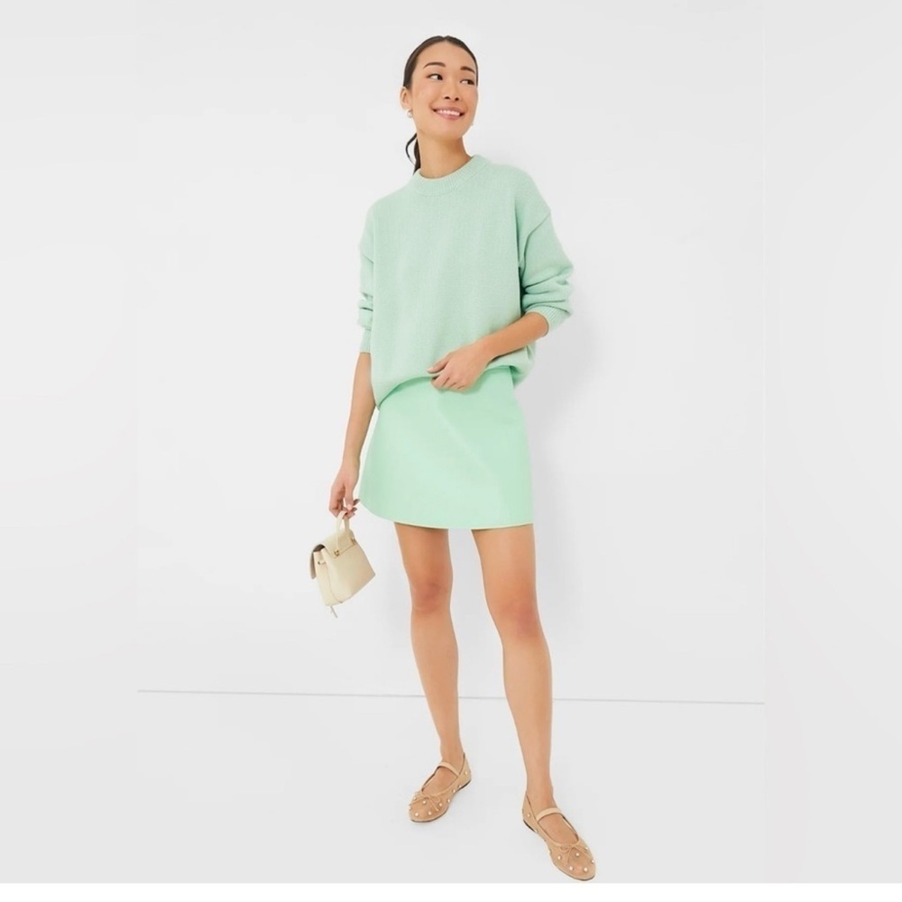 Tuckernuck Meg Mini Skirt S Mint Green Faux Leather A-Line NWT Preppy - Picture 10 of 10